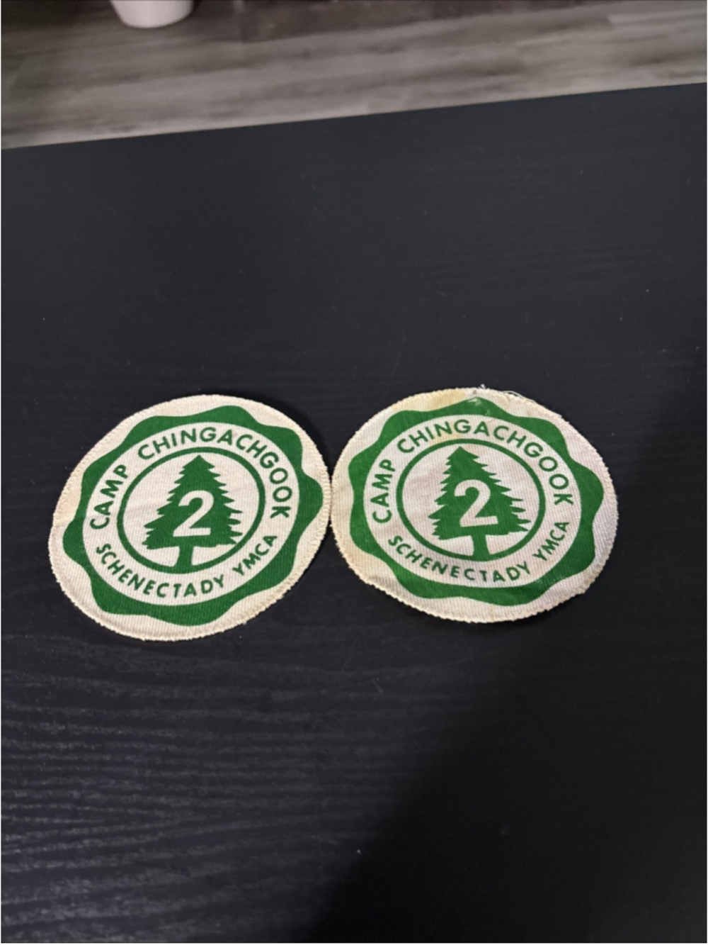 Vintage YMCA Camp Chingachgook Schenectady NY 2 Yr Camper Alumni Lot Of 2